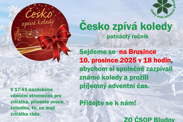 Česko zpívá koledy