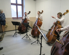 2026-02-22 Bumblebass