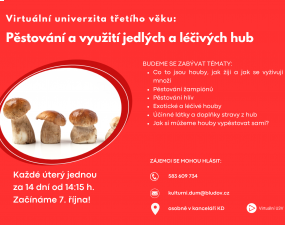 Virtuální univerzita třetího věku na téma Pěstování a využití jedlých a léčivých hub